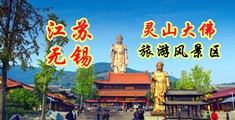 免费污骚黄视频网站江苏无锡灵山大佛旅游风景区
