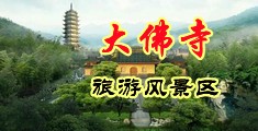 女人日逼网站中国浙江-新昌大佛寺旅游风景区